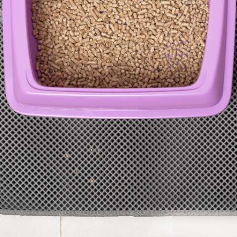 Cat Litter FAQs: Clumping vs. Unclumping - Happy Little Kitty