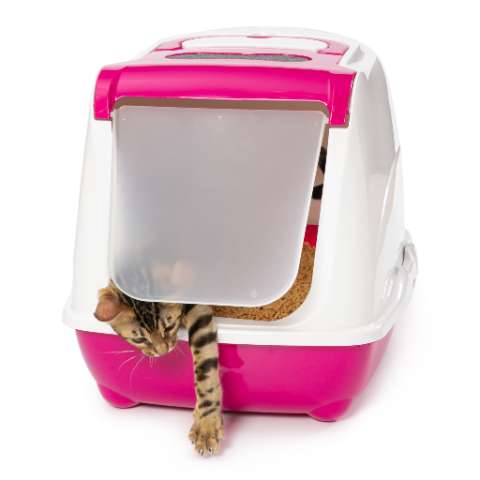 Keep Your Home Smelling Fresh With These Litterbox Odor Control Tips - Happy Little Kitty
