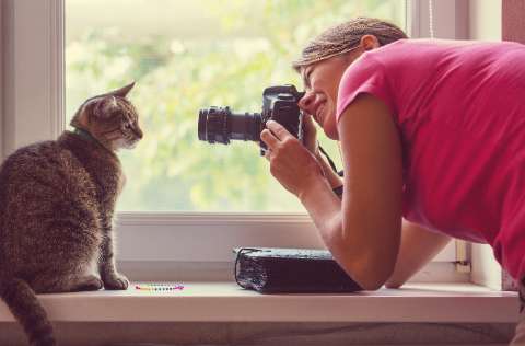 The Art of Cat Photography Capturing the Essence of Your Feline Friend