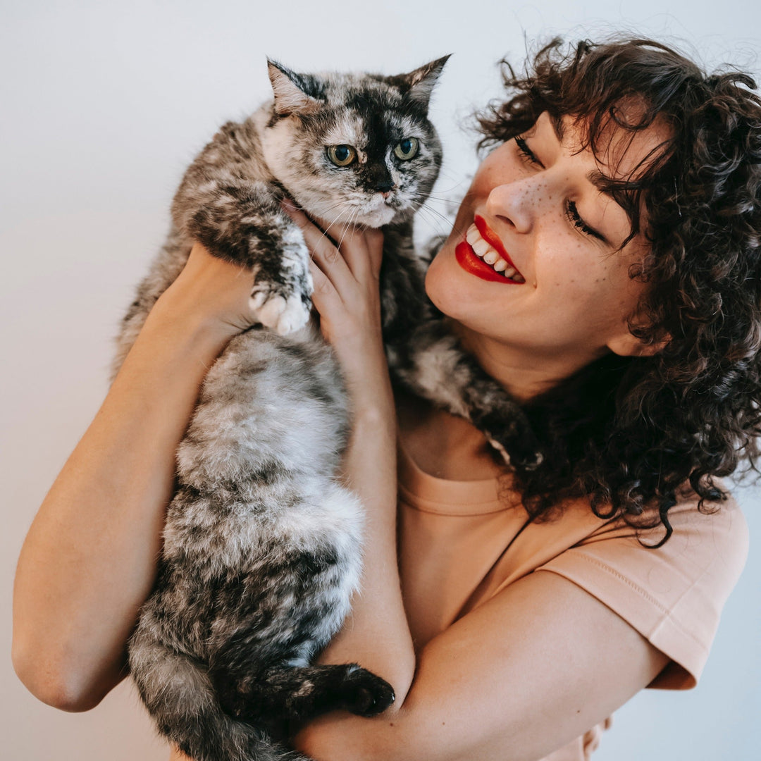 Giving Your Stressed Cat Some Much-Needed TLC - Happy Little Kitty