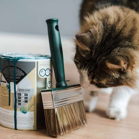 Make Your Home Purr-fectly Cat-Themed! - Happy Little Kitty