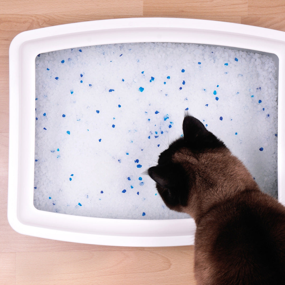Navigating the Cat Litter Aisle - Happy Little Kitty
