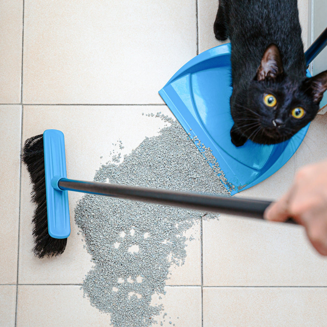 Tips and Tricks for Cleaning Pet Urine Stains - Happy Little Kitty