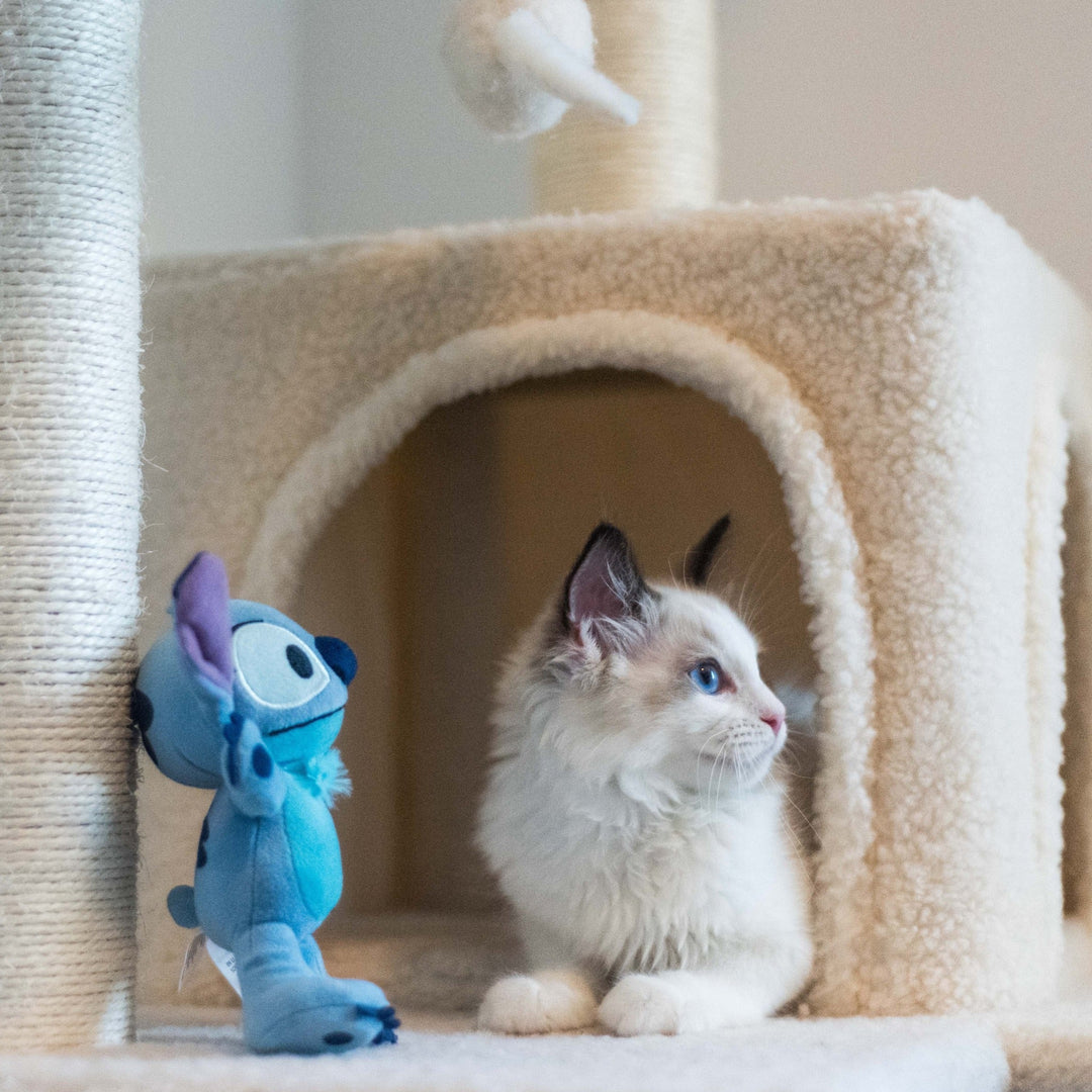 What is a Catio and Why You Should Get One Now! - Happy Little Kitty